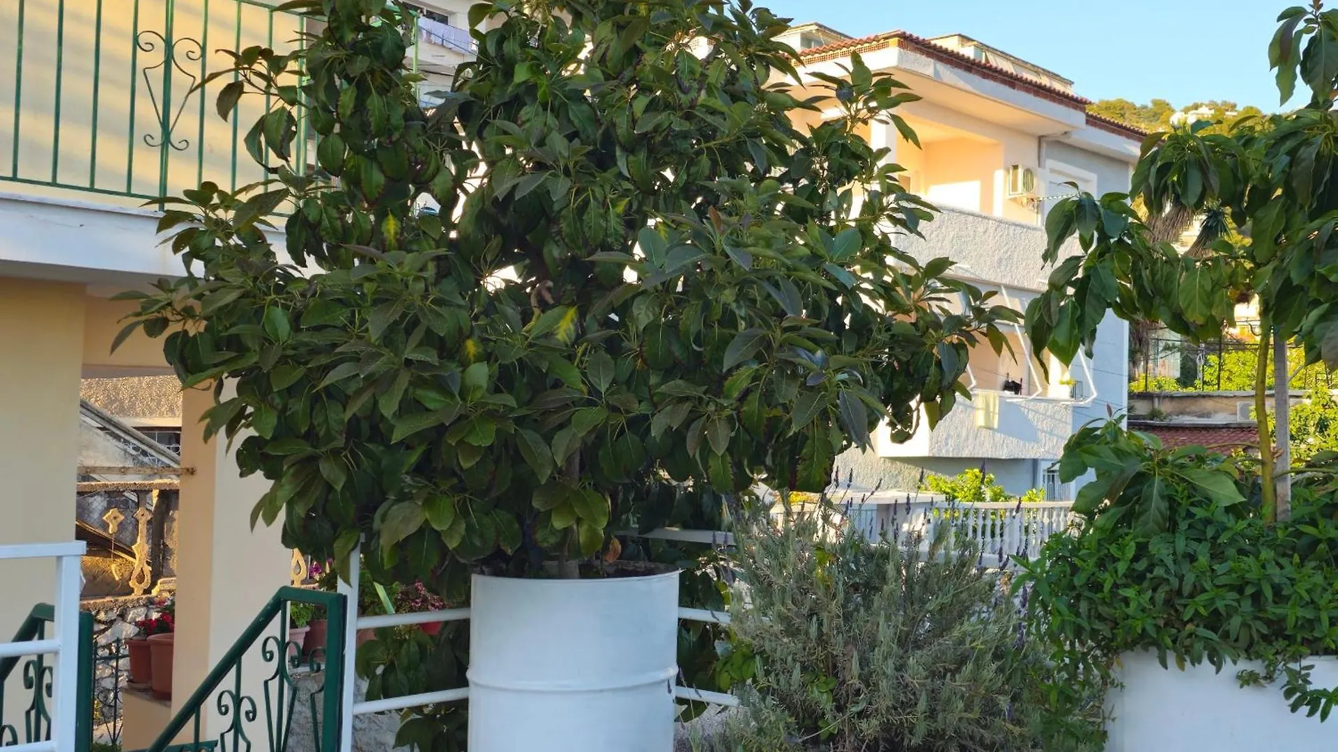 Joen Apartments Saranda