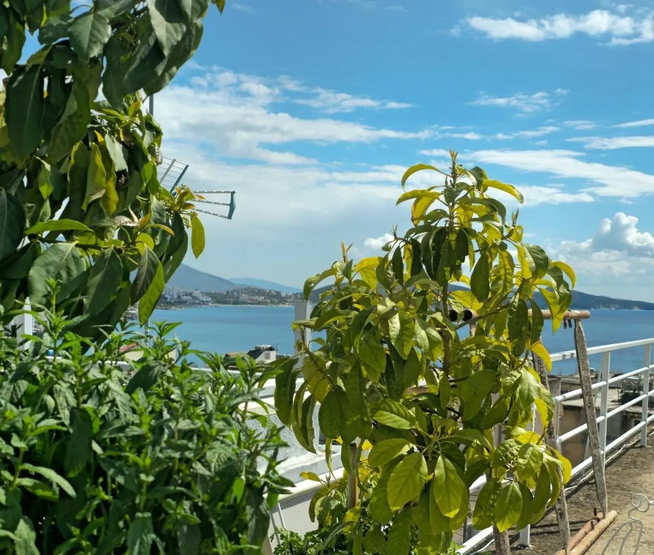 Joen Apartments Saranda 0*,